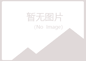 泰安岱岳山柏工程有限公司